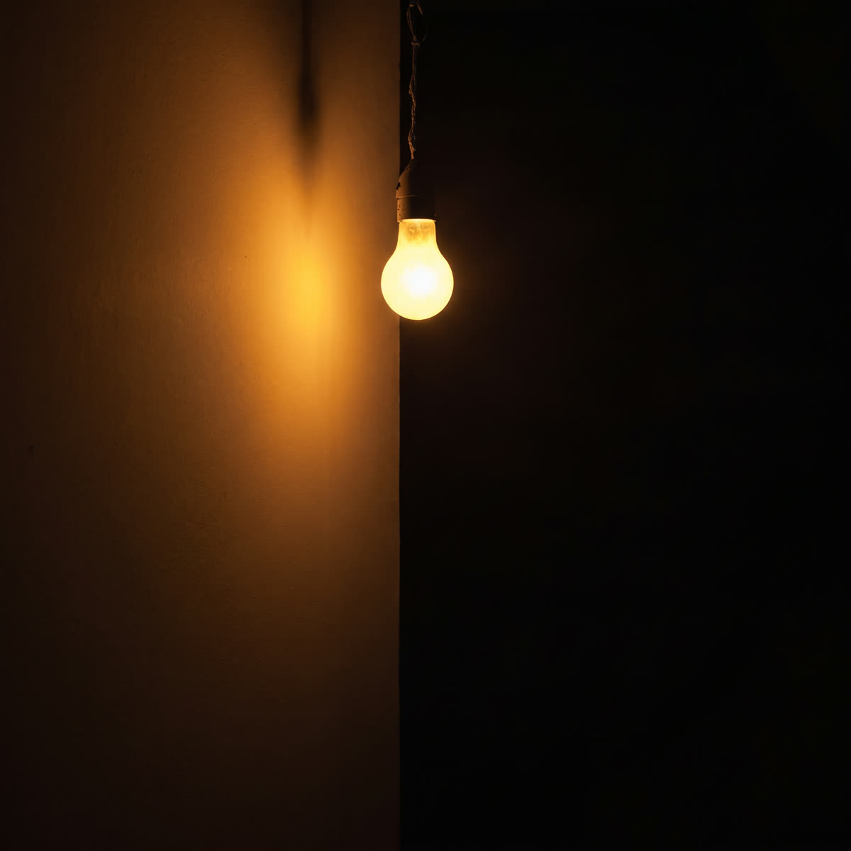 Same Light Own Darkness